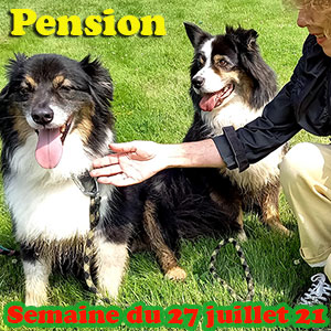 pension sos animaux 78 ete 2021